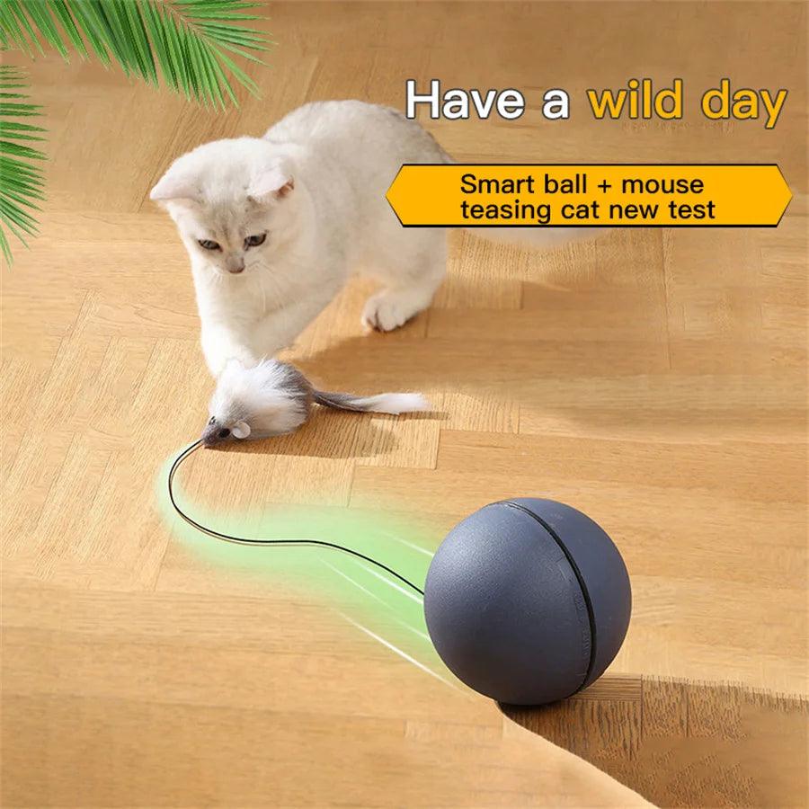 Battery-Powered Interactive Cat Toy