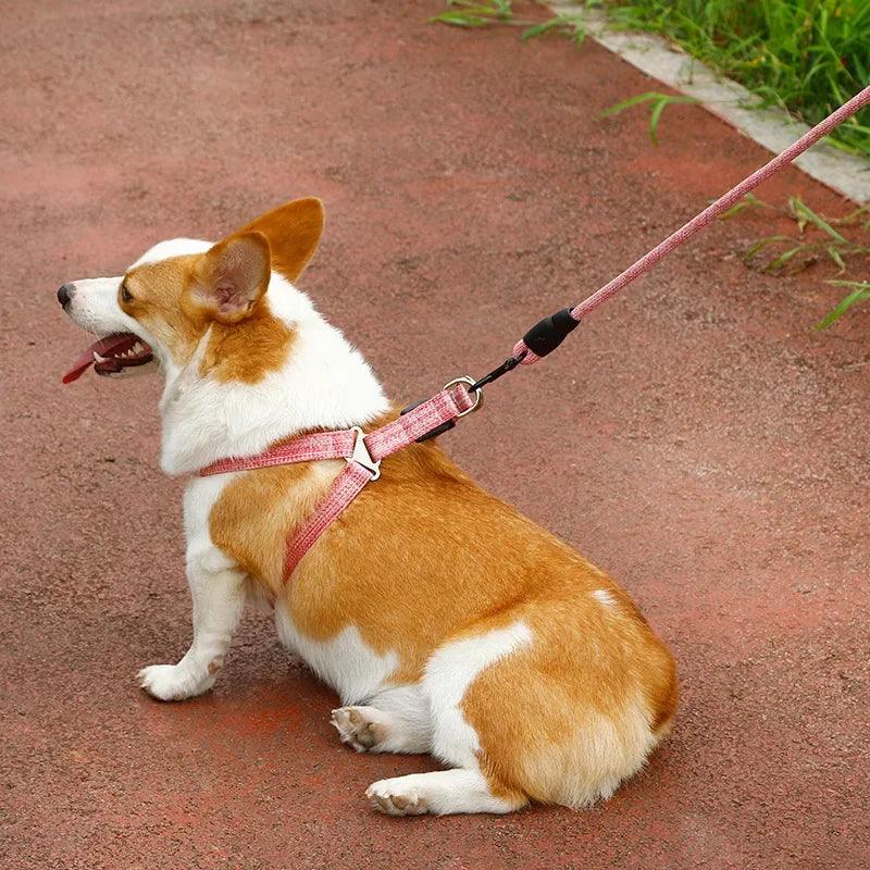 Adjustable Dog Harness Set