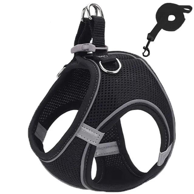 Reflective Cat Harness Set