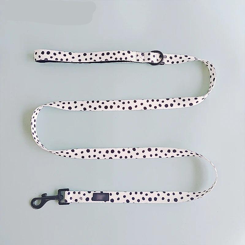 4-in-1 Pet Harness Set
