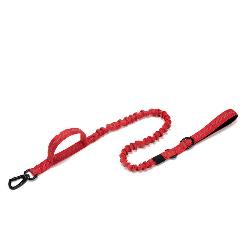 Durable Dog Collar & Leash