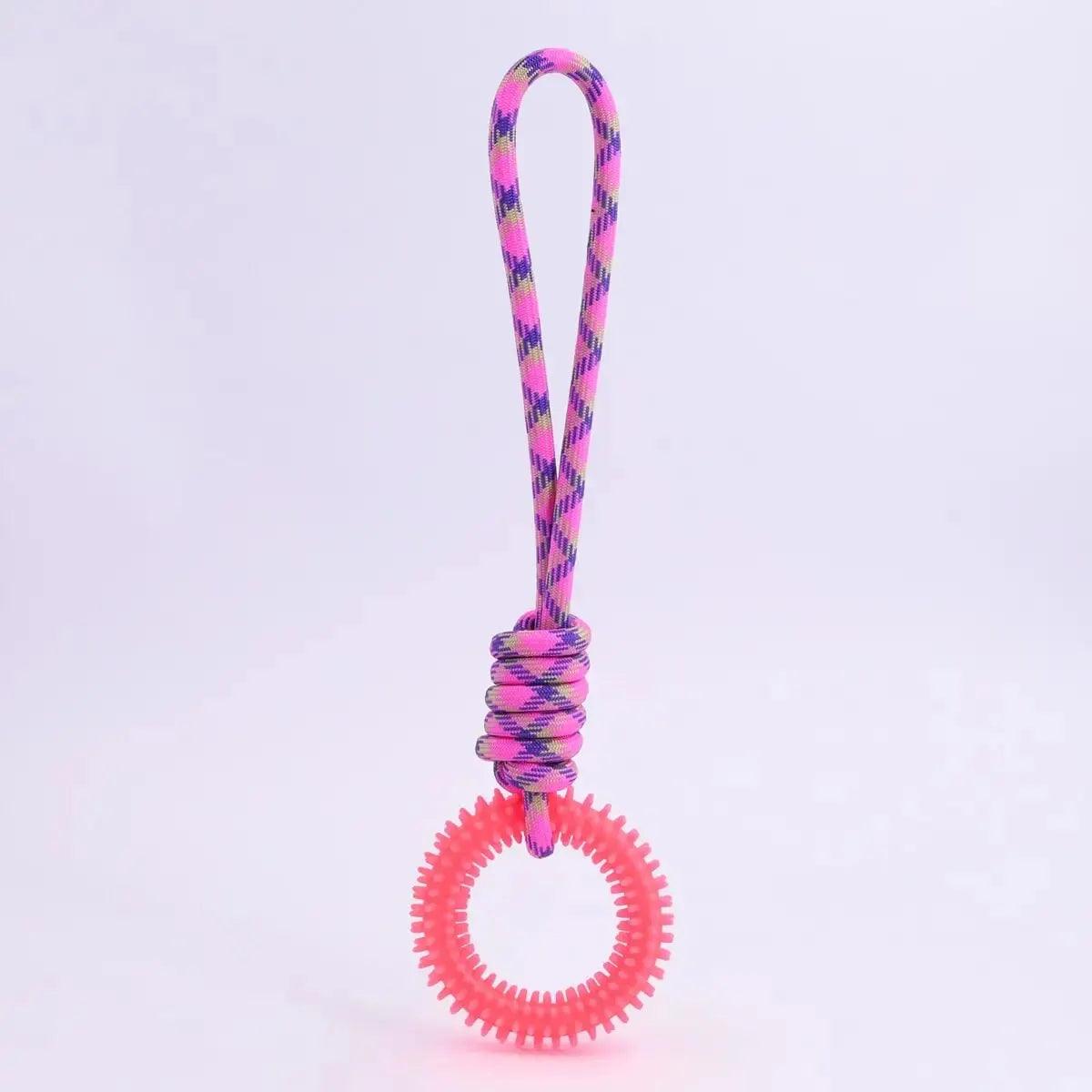 Spiked Ring Dog Training Toy