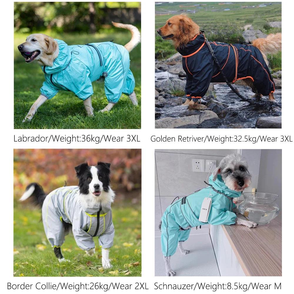 All-Weather Dog Raincoat Suit