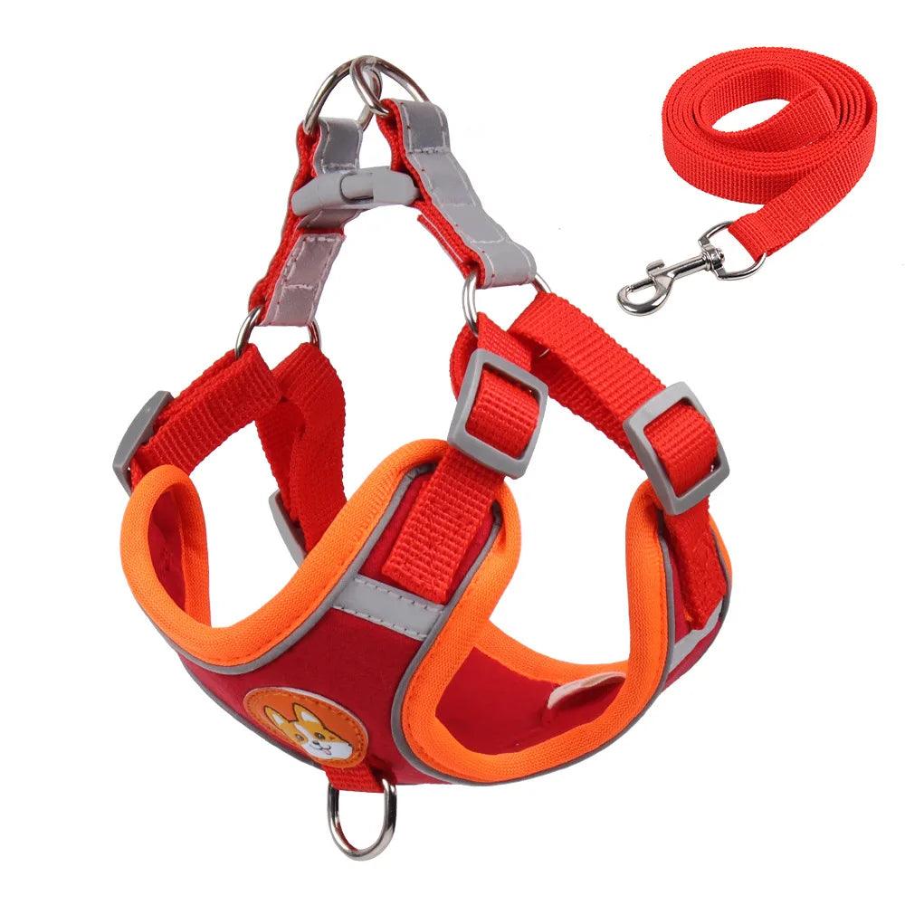 No Pull Dog Harness Set