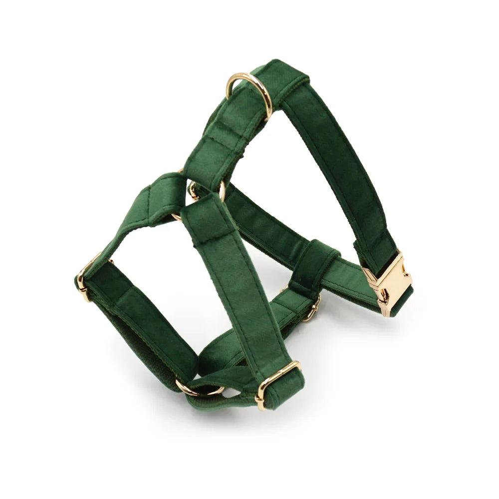 Personalized Velvet Dog Collar