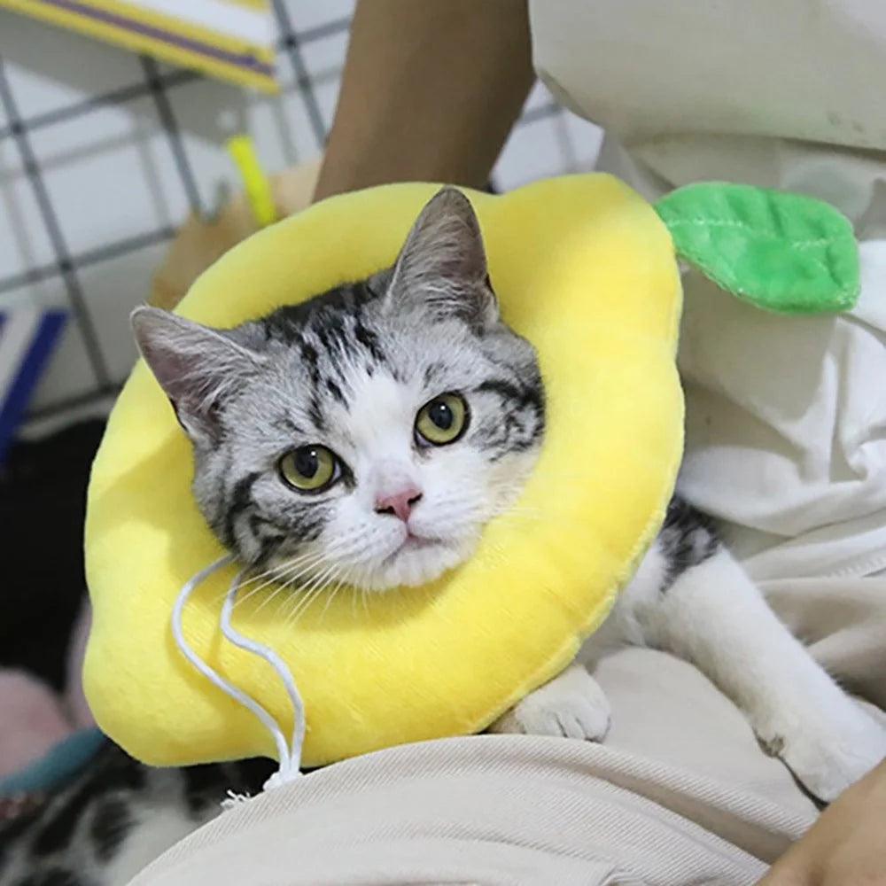 Avocado Pet Recovery Collar