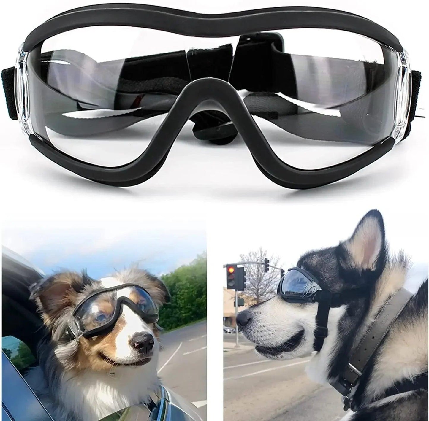 Anti-Fog Dog Snow Goggles