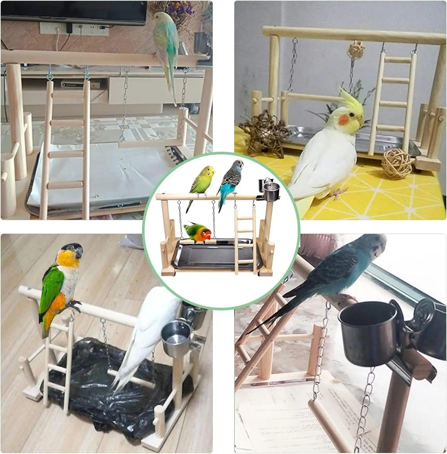 Parrot Playground Activity Set