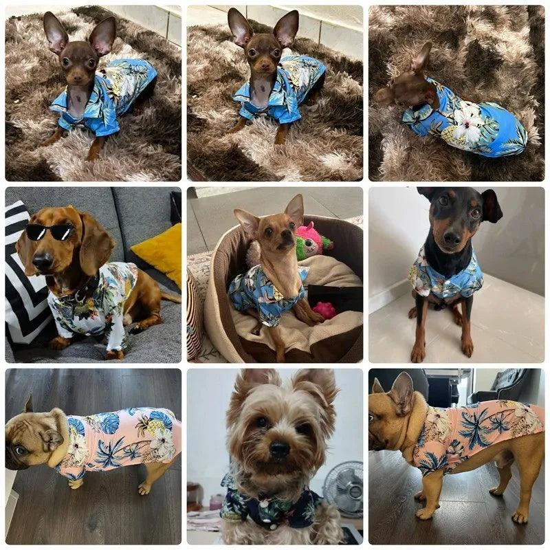 Pineapple Beach Shirt for Pets