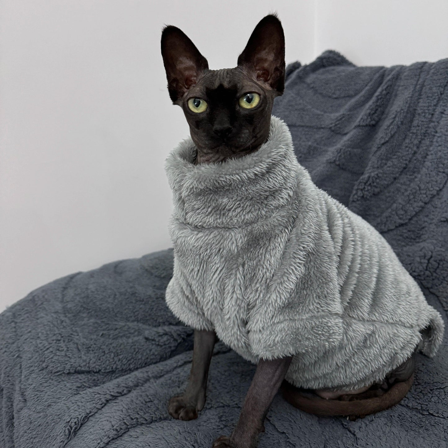 Cozy Cat Sweater for Winter