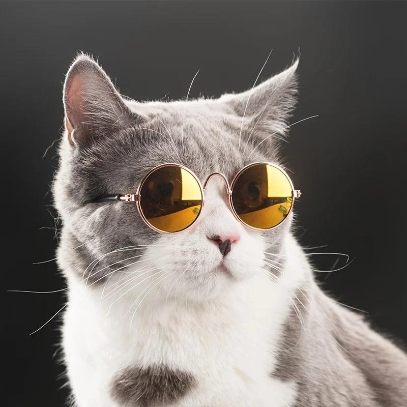 Retro Pet Sunglasses for Style