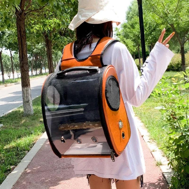Transparent Travel Bird Backpack