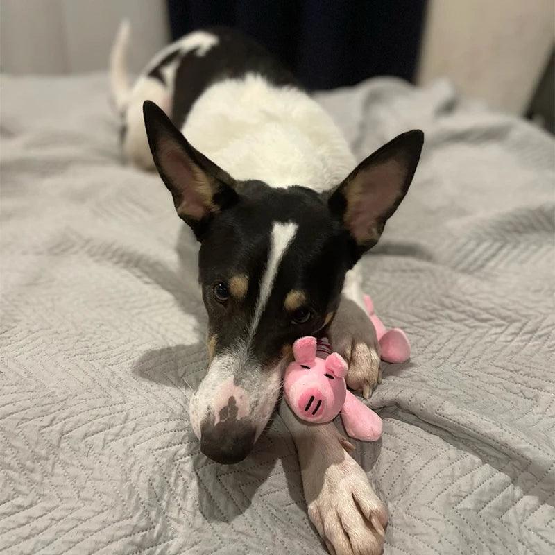 Squeaky Plush Chew Toy