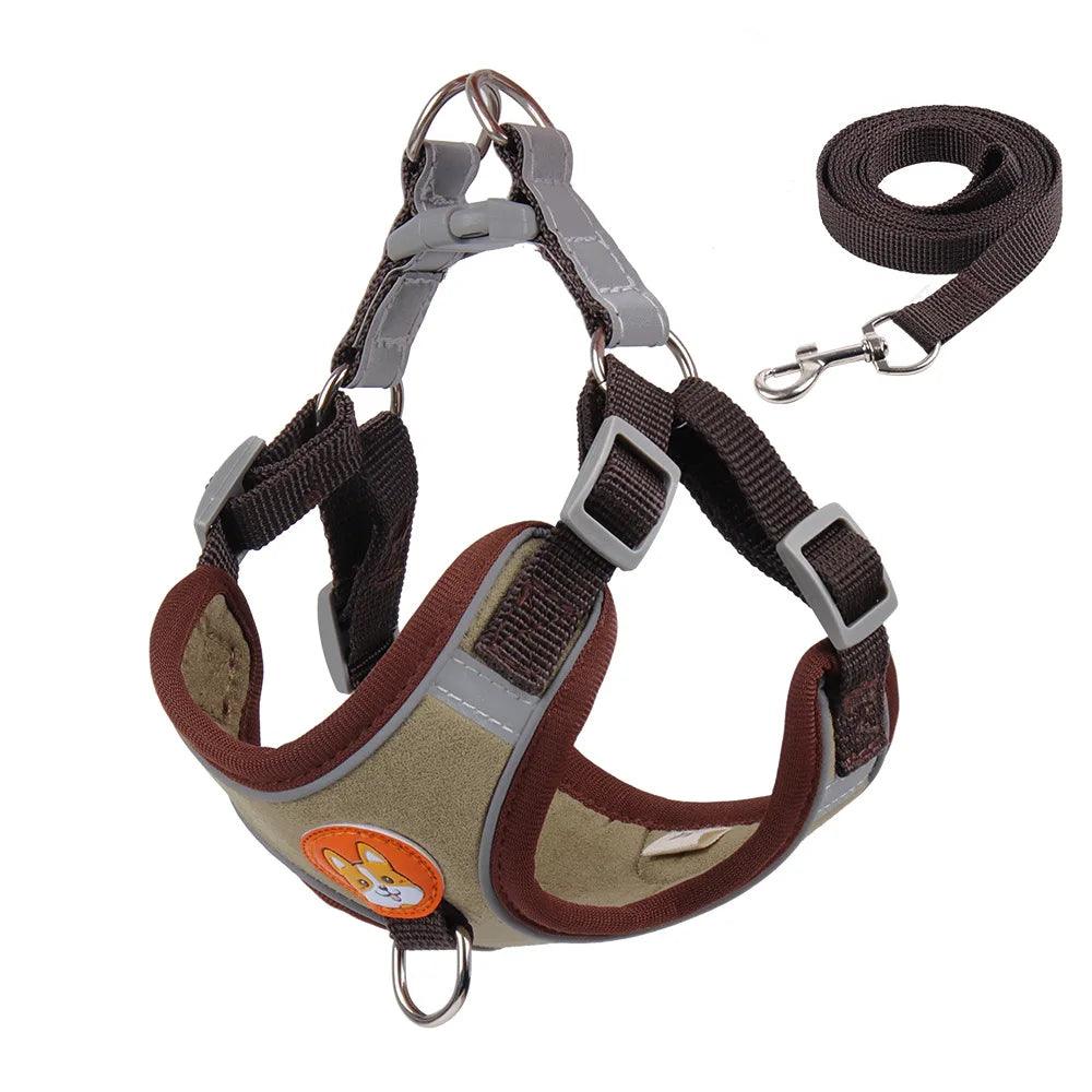 No Pull Dog Harness Set