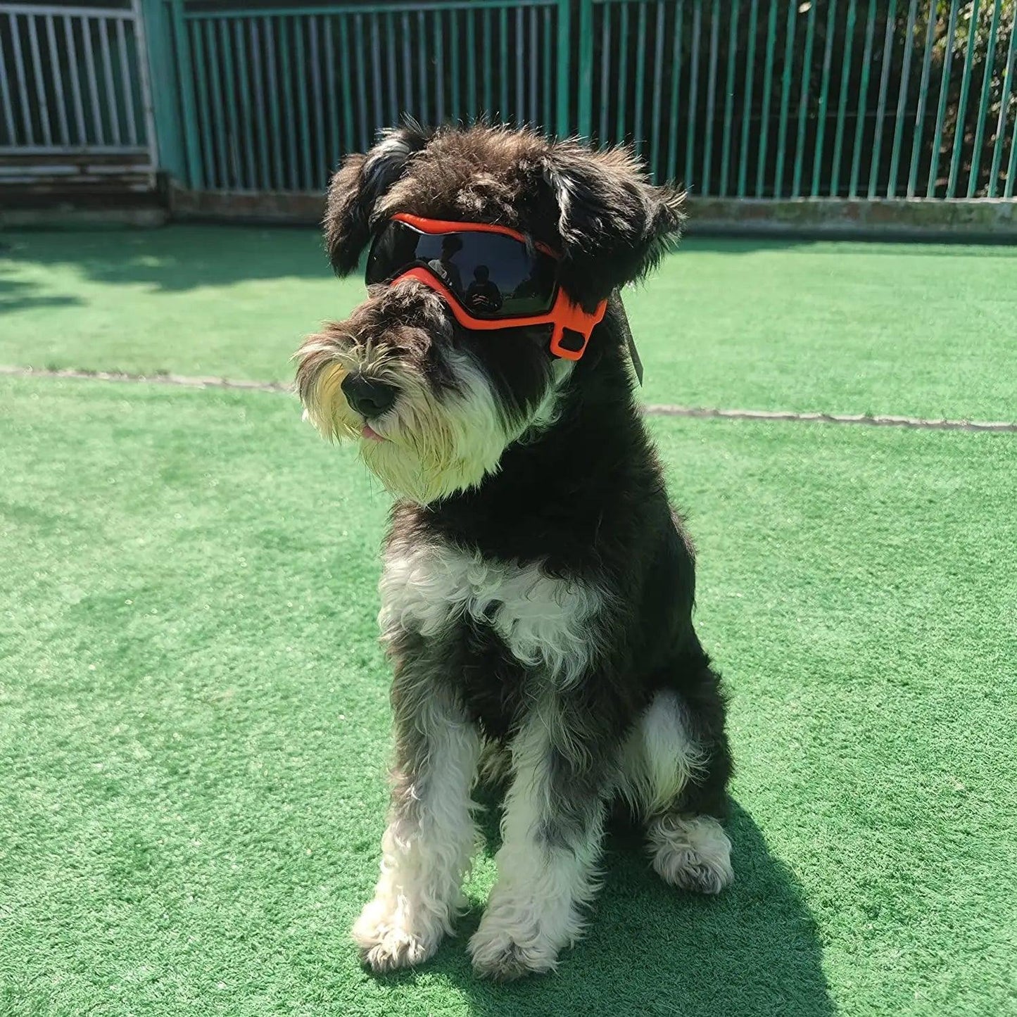 Cool Dog & Cat Sunglasses