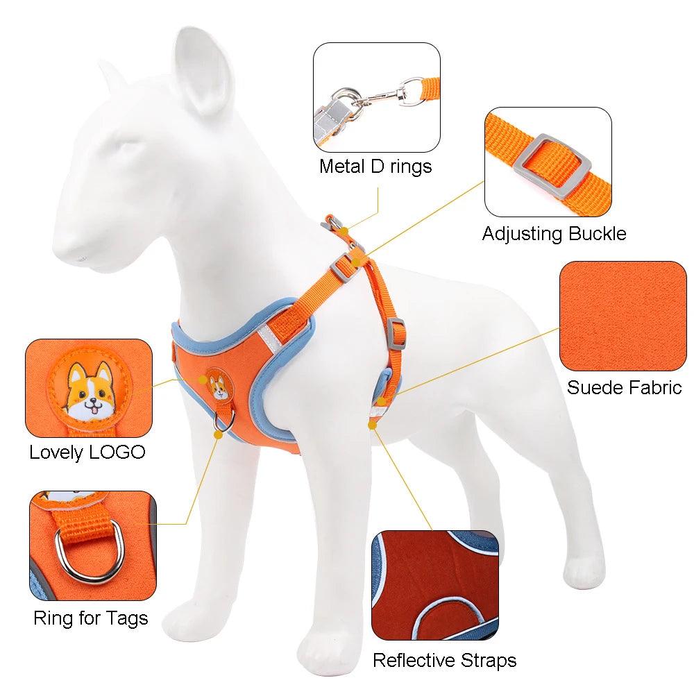 No Pull Dog Harness Set