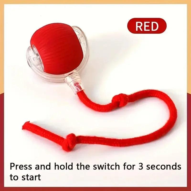 Smart Interactive Dog Ball