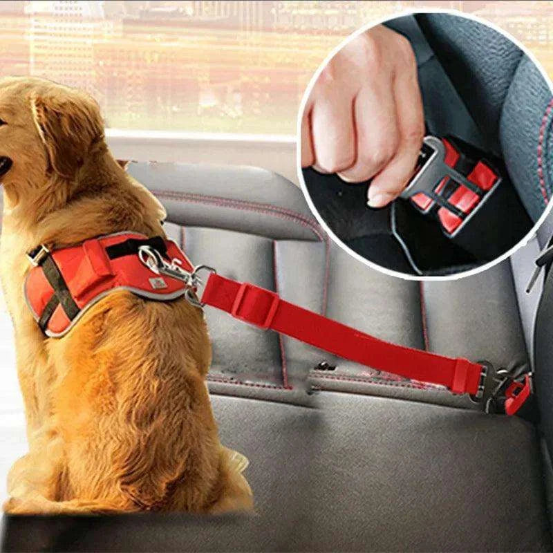 Adjustable Dog Car SeatbeltDescription:
Keep your dog safe and comfortable during car rides! This adjustable, durable seatbelt harness ensures secure travel with reflective bungee fabric for Regal Pet PalaceRegal Pet PalaceAdjustable Dog Car