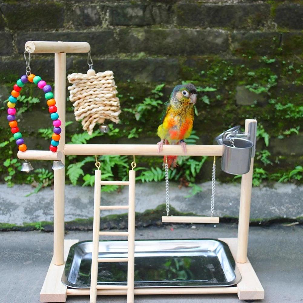 Parrot Playground Activity Set