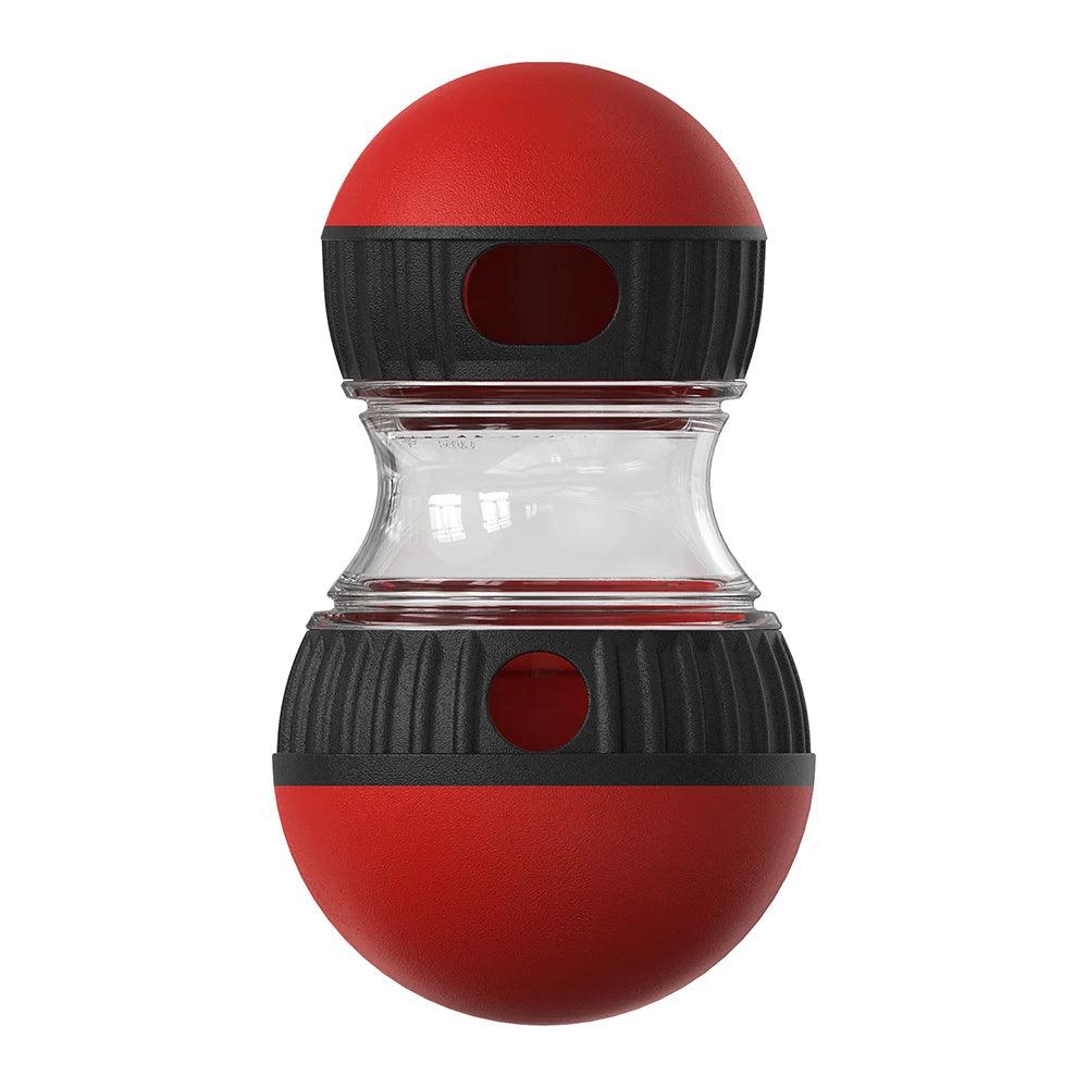 Interactive Dog IQ Toy
