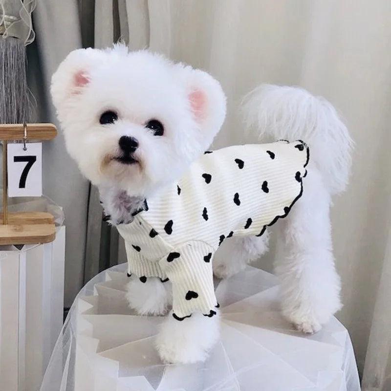 Cozy Cotton Pet T-Shirt