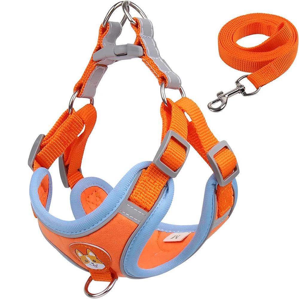 Reflective Pet Harness & Leash