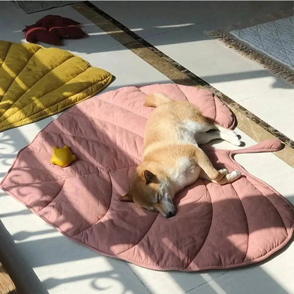 Cooling Leaf Dog MatDescription:
Beat the summer heat! This breathable, leaf-shaped cooling mat keeps your pup comfortable indoors, outdoors, or on the go—perfect for naps, car rides, Regal Pet PalaceRegal Pet PalaceCooling Leaf