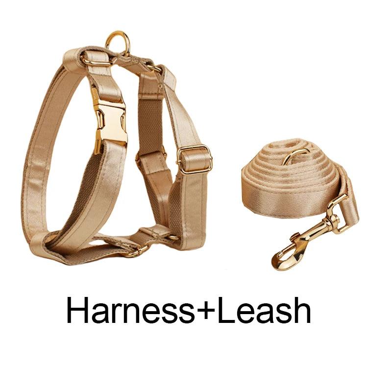 Custom Luxury Designer Dog Set