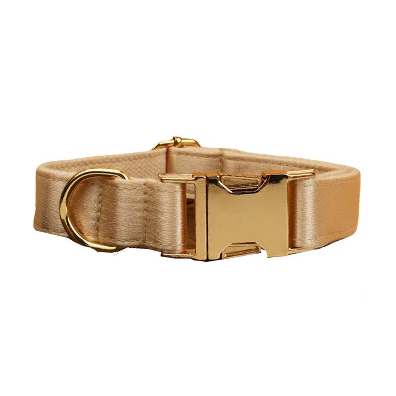 Custom Luxury Designer Dog Set
