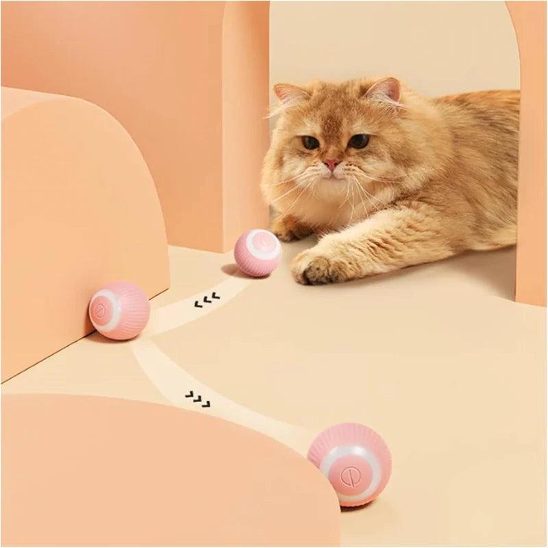 Smart Rolling Cat Toy