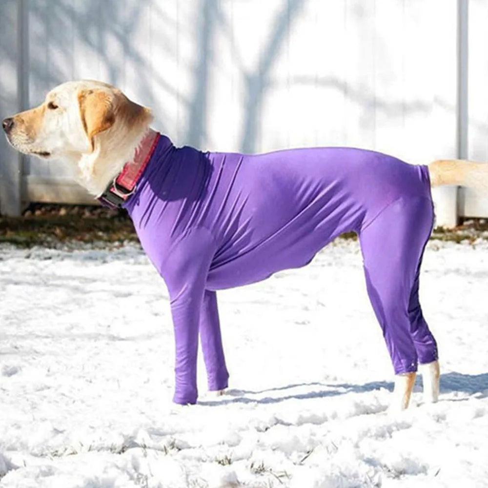Dog Recovery & Anxiety Suit
