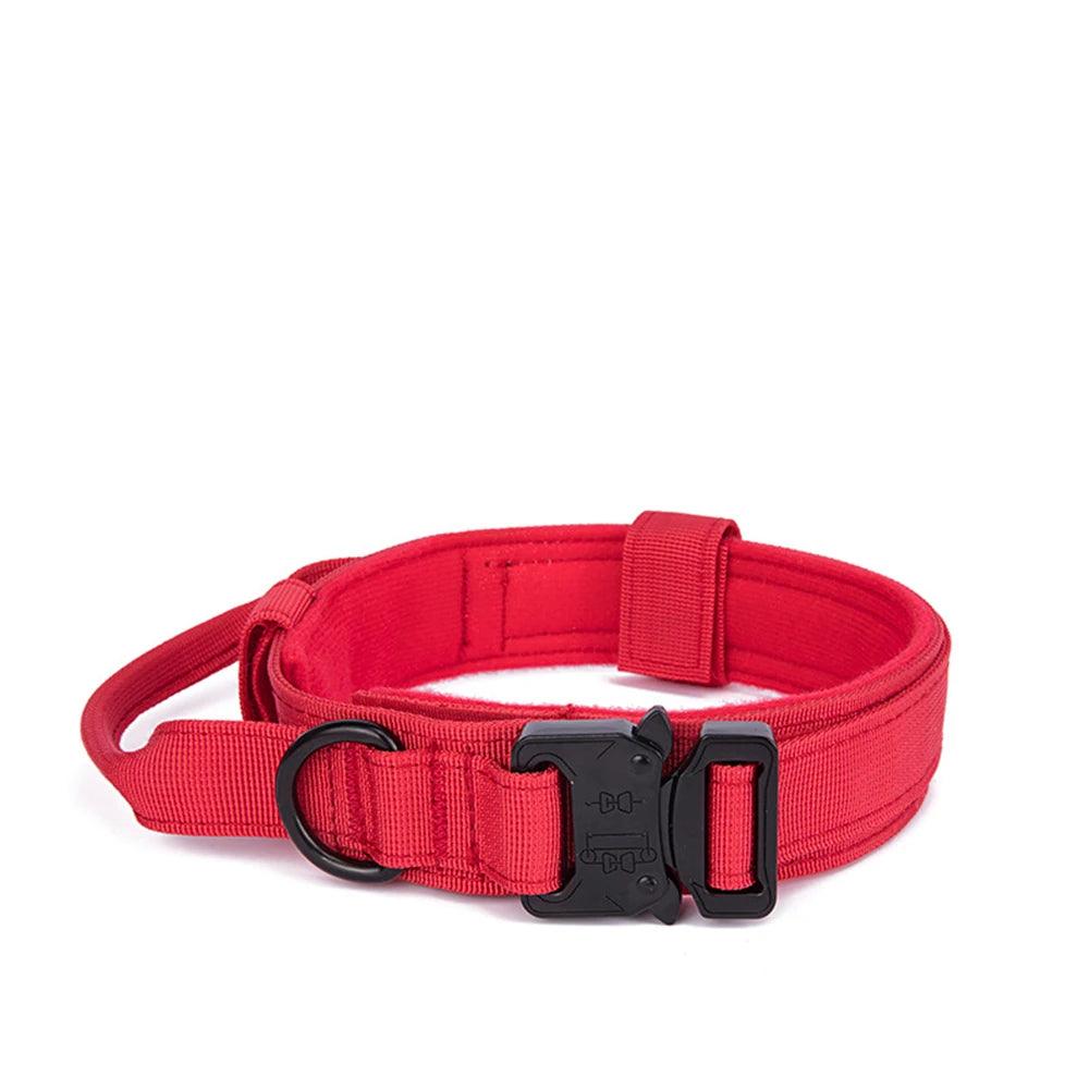 Durable Dog Collar & Leash