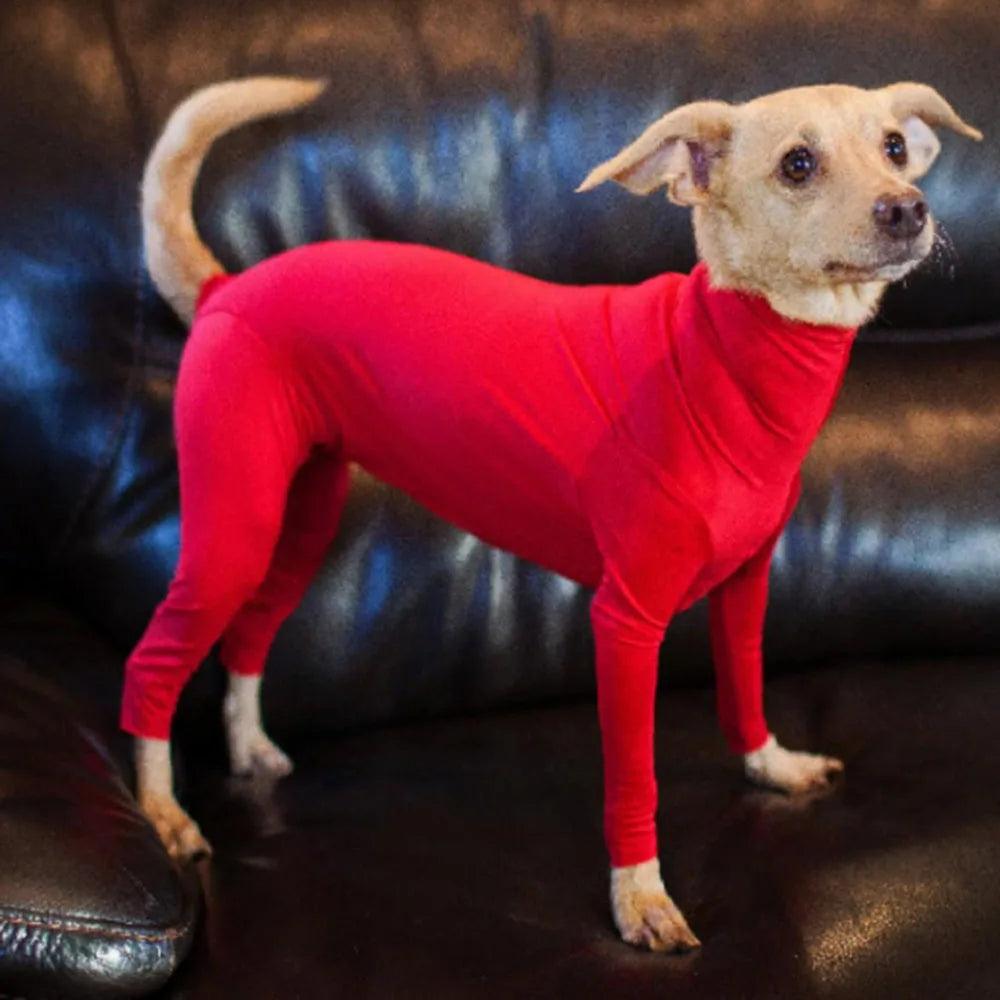 Dog Recovery & Anxiety Suit