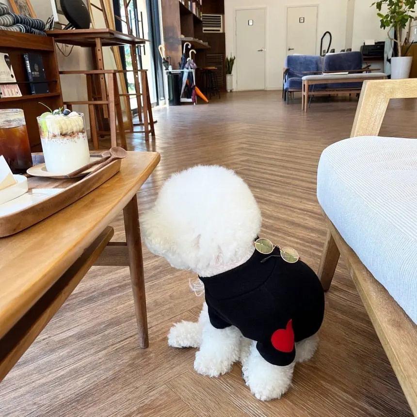 Cozy Love Pet Sweater