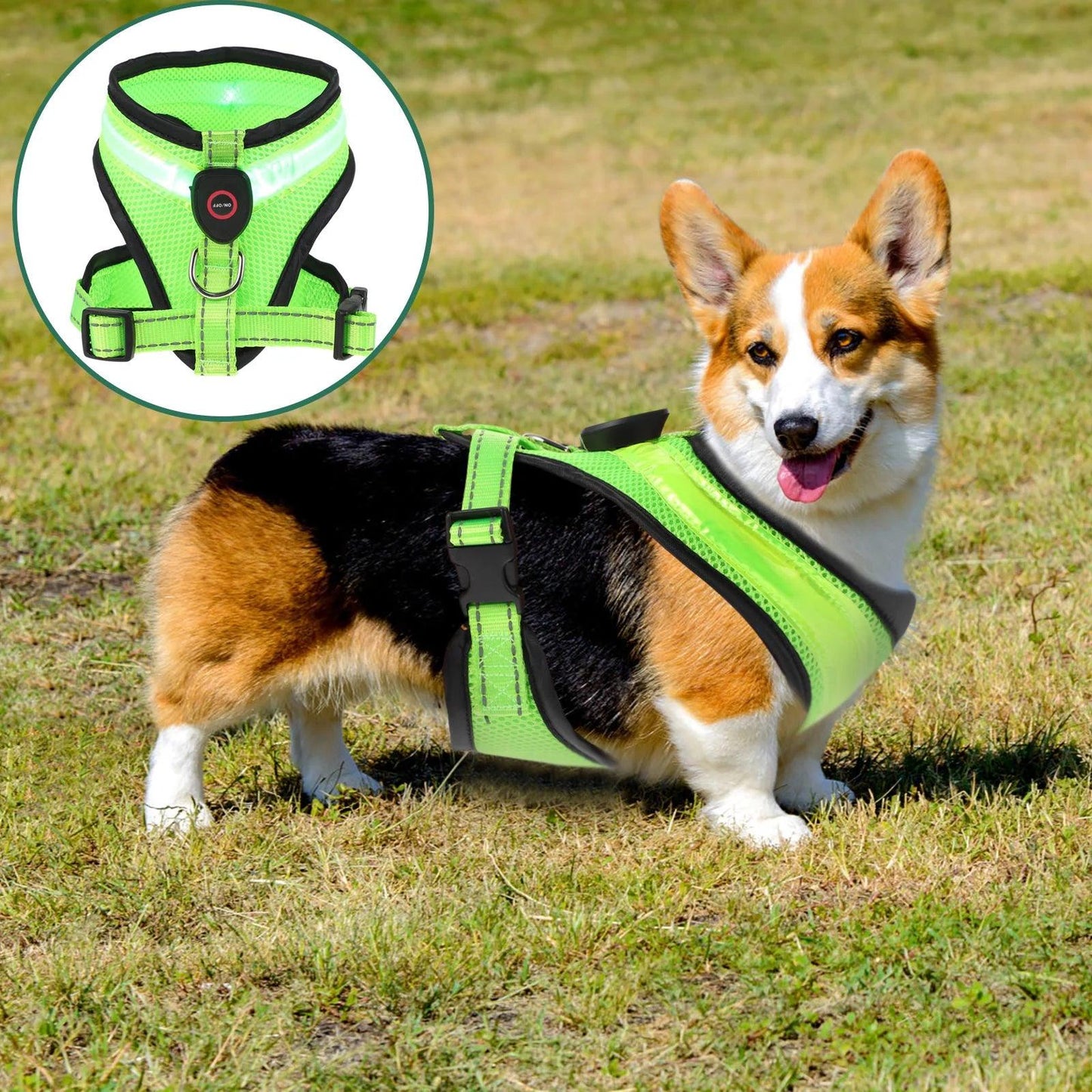 Glow LED Dog Vest Harness