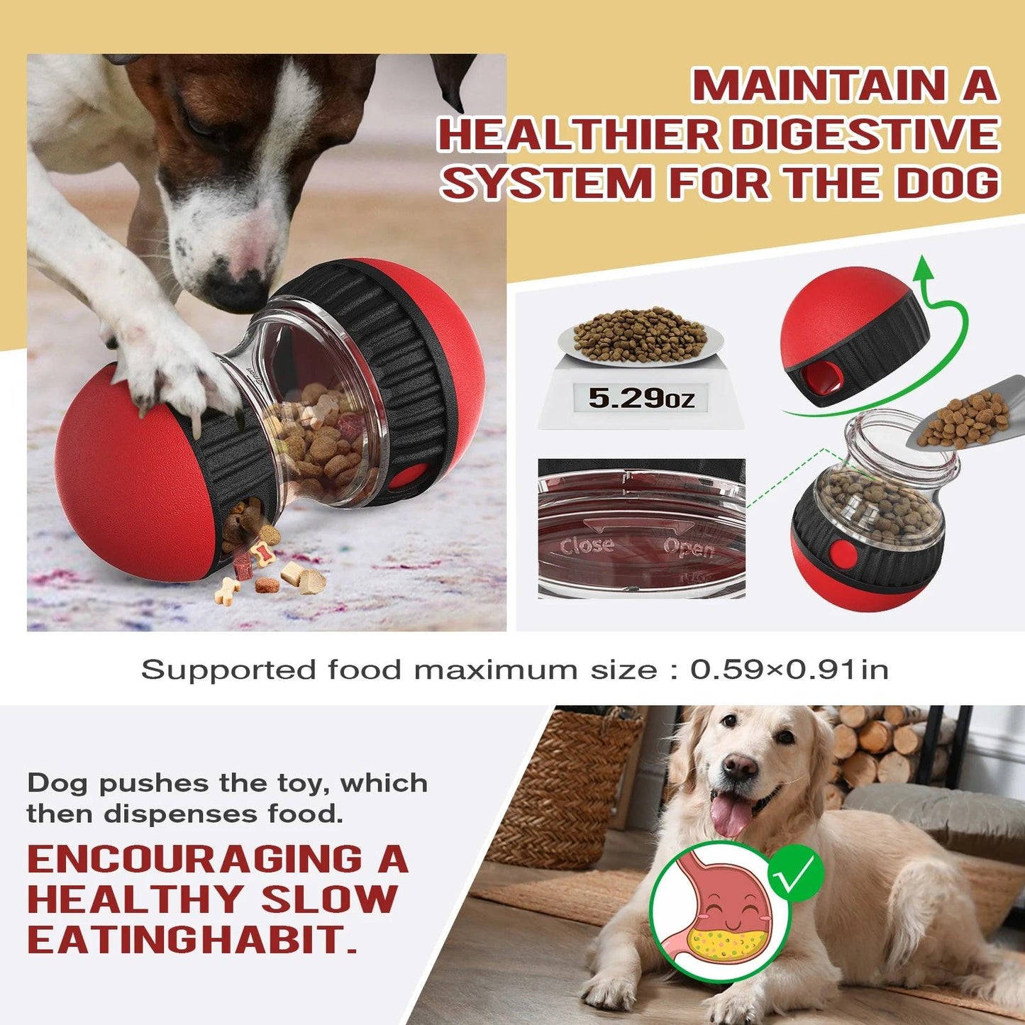 Interactive Dog IQ Toy