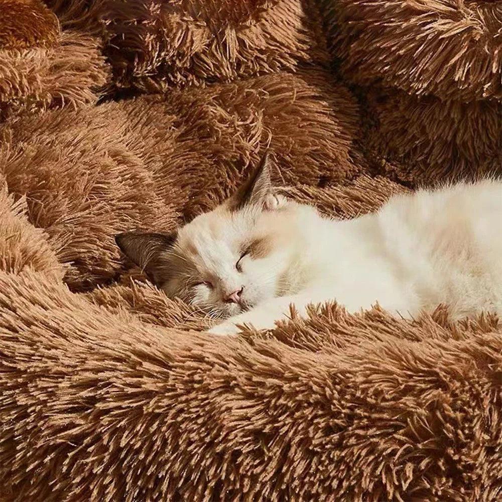 Ultra-Cozy Plush Dog Bed