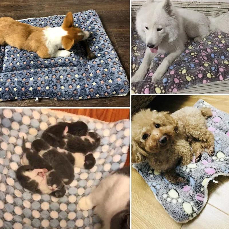 Cozy Bear Pattern Pet Bed