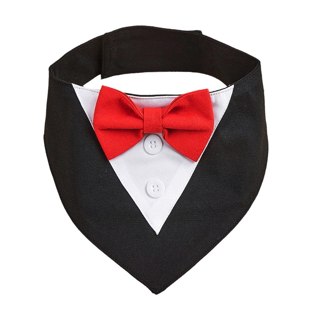 Handsome Dog Bow Tie