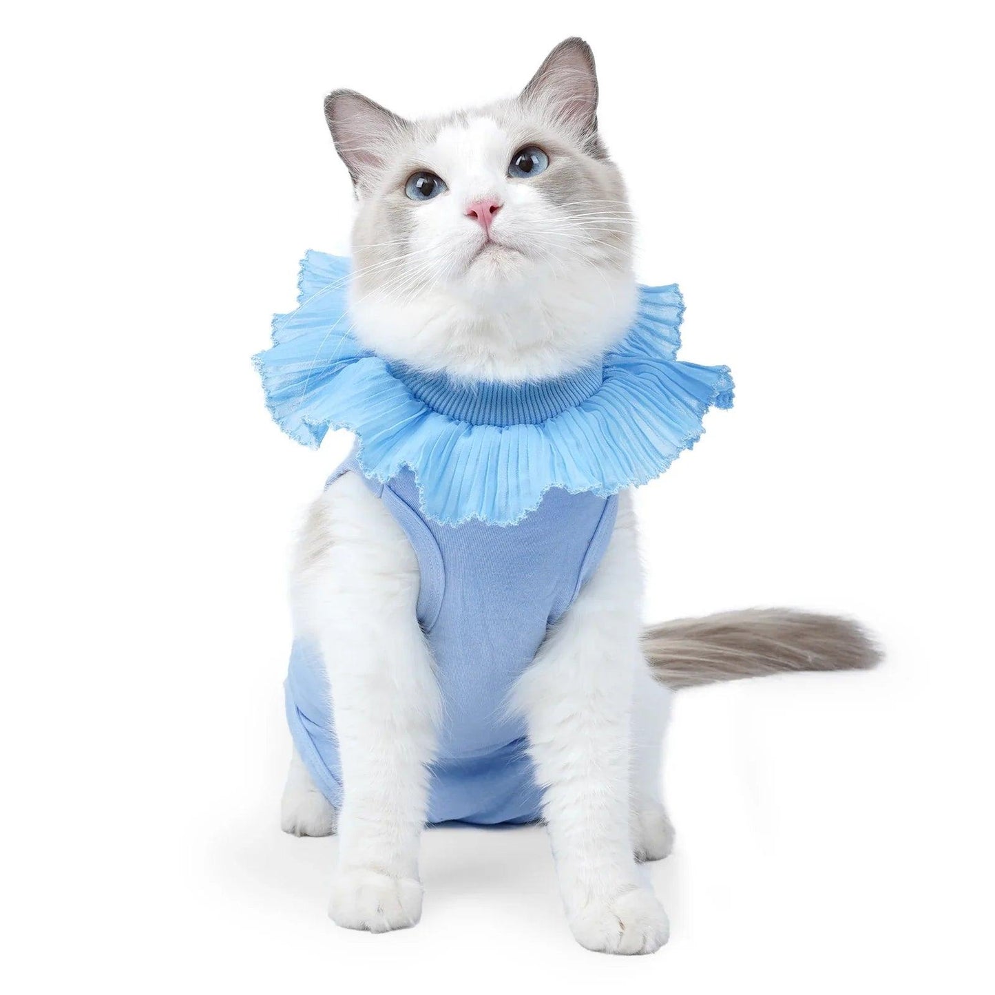 Cat Post-Surgery Recovery Suit
