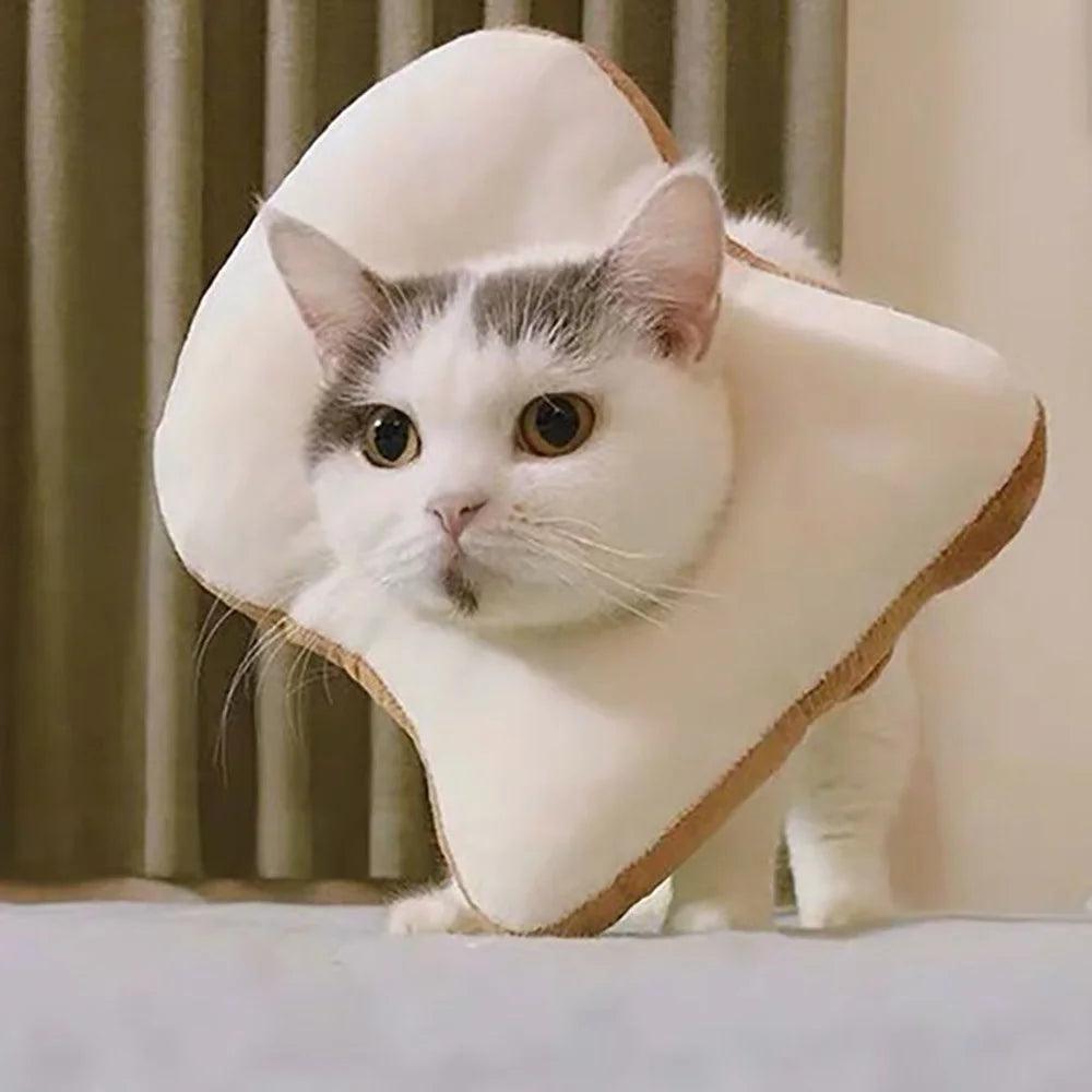 Avocado Pet Recovery Collar