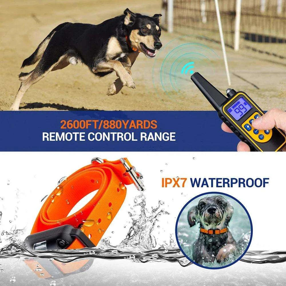Rechargeable Dog Training CollarDescription:
Take control of your dog’s behavior with this electric training collar! With adjustable shock, vibration, and a clicker, it’s the perfect solution for Regal Pet PalaceRegal Pet PalaceDog Training Collar