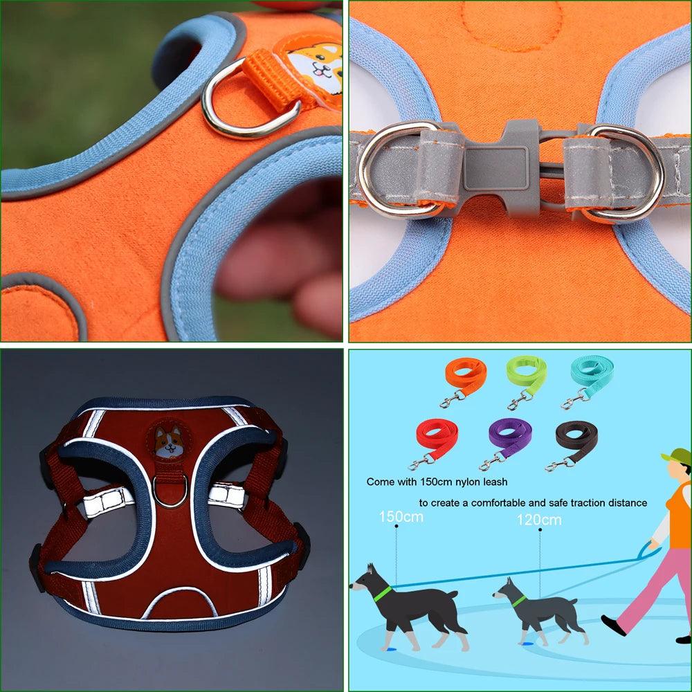 No Pull Dog Harness Set