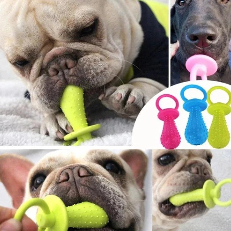 Rubber Pacifier Dog Toy