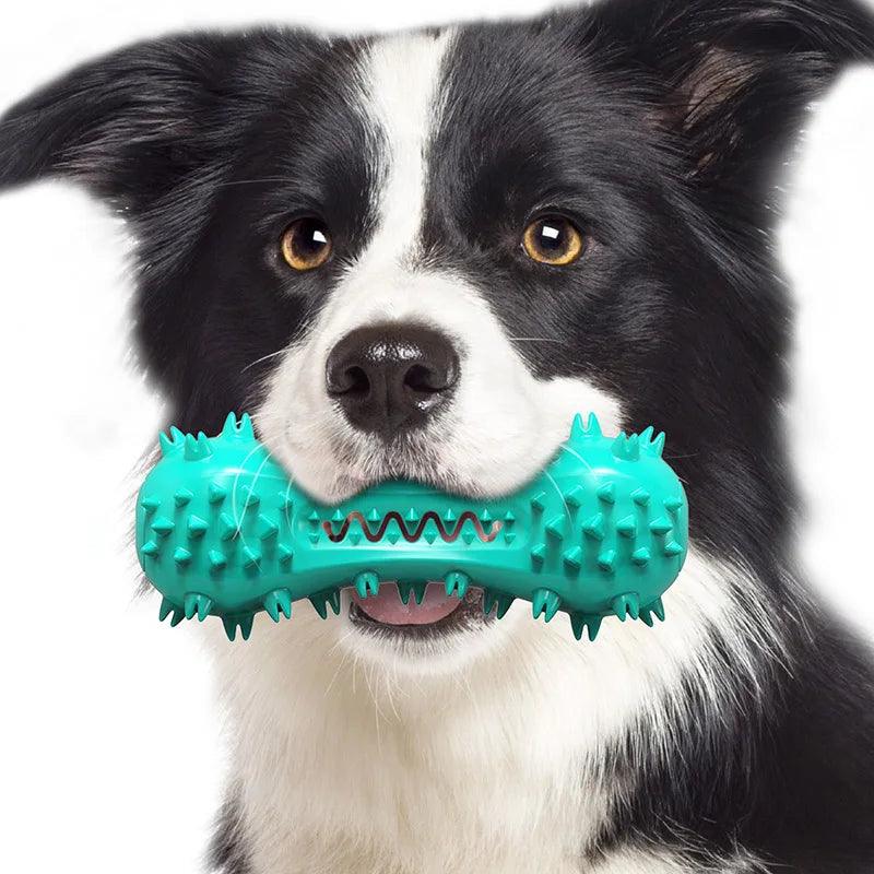 Indestructible Dumbbell Chew Toy