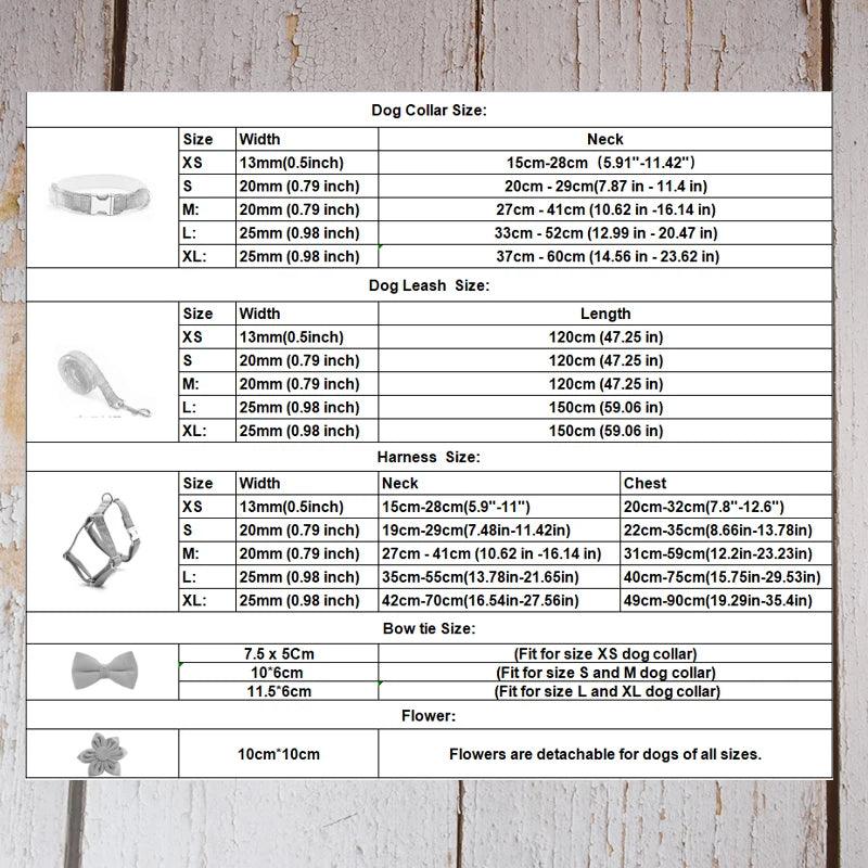 Custom Luxury Designer Dog Set