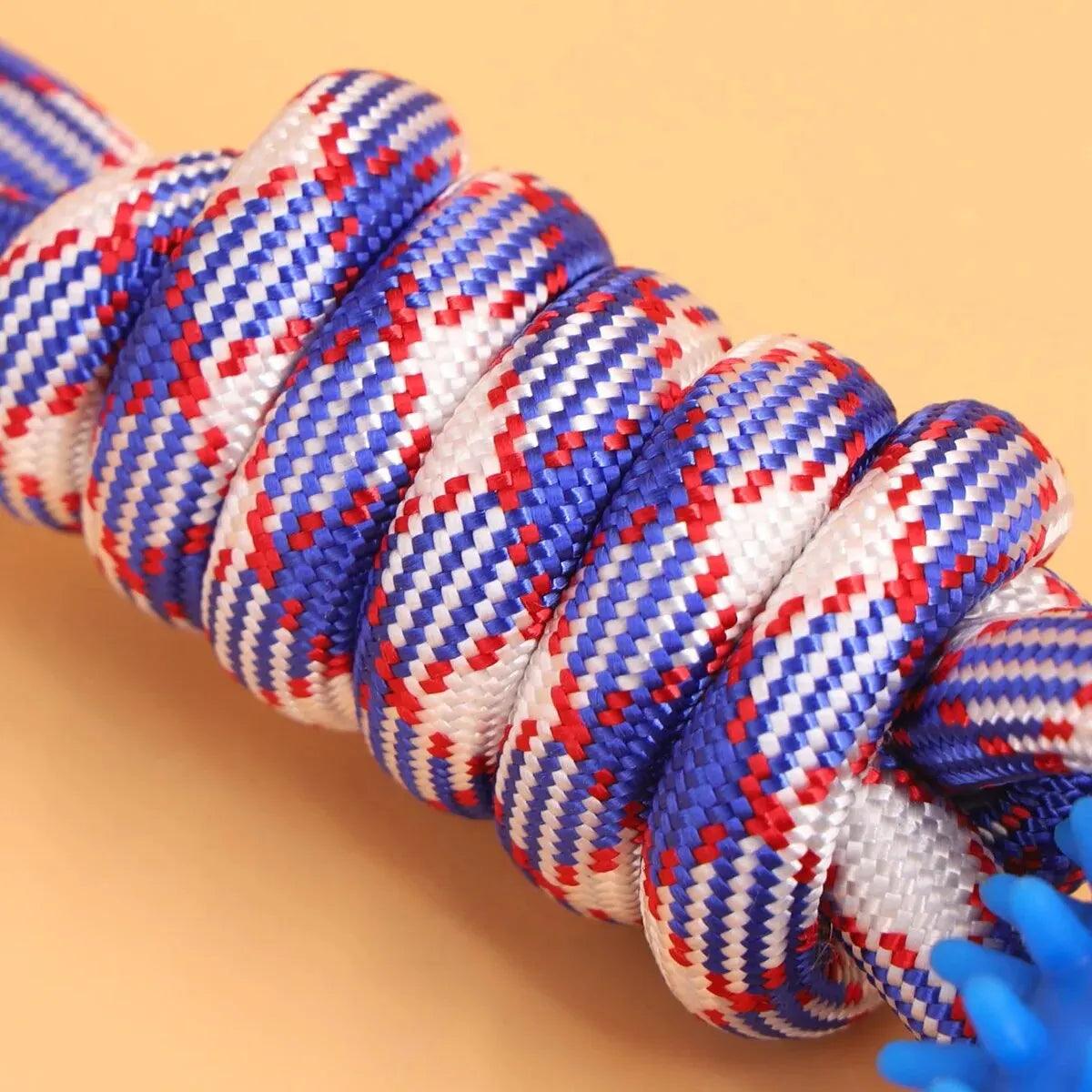 Spiked Ring Dog Training Toy