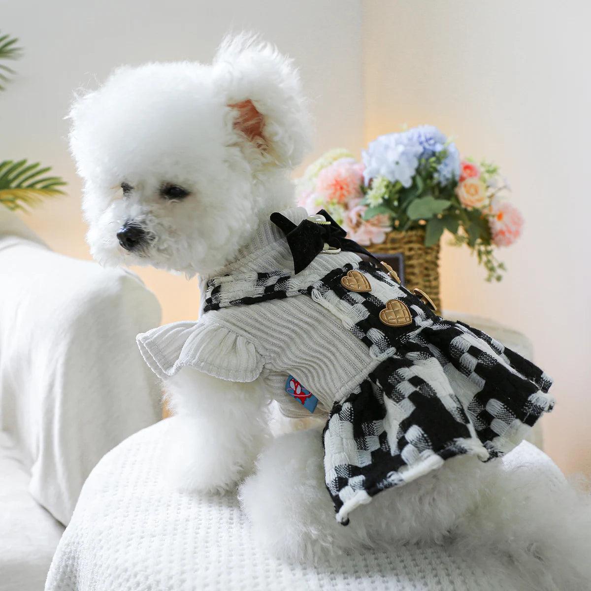 Elegant Bow Dog Dress