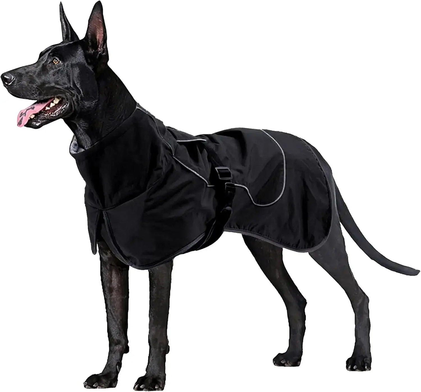 Waterproof Dog Jacket with Fleece