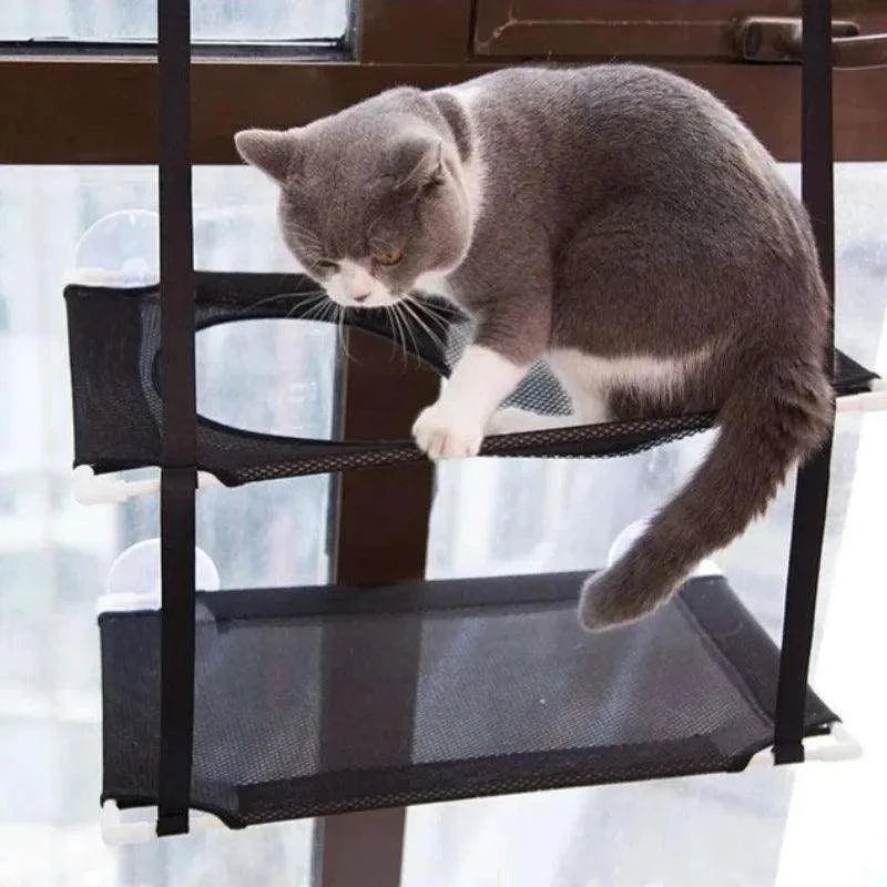 Double-Decker Cat Hammock BedDescription:
Give your cat the ultimate sunbathing spot with this double-decker hammock. Suction cup mounts securely to the window, offering a cozy space for loungiRegal Pet PalaceRegal Pet PalaceDouble-Decker Cat
